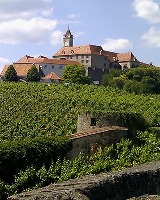 Riegersburg Foto