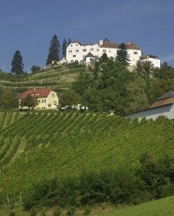 Foto Schloss Kapfenstein