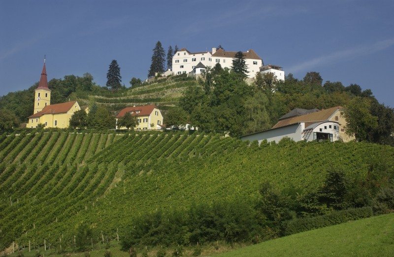 Blick auf Schloss Kapfenstein