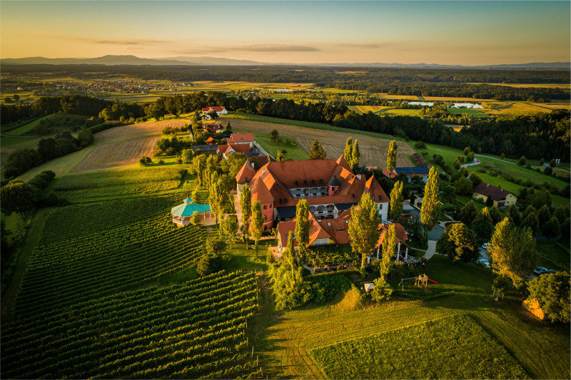 Weinschloss Koarl Thaller aus der Luft