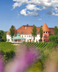 Foto Weinschloss Thaller