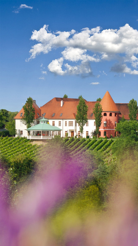 Außenansicht Rückseite Weinschloss Thaller
