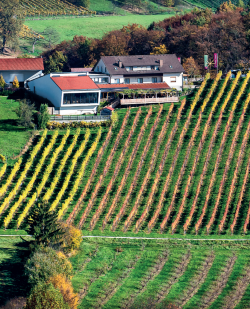 Foto Wippel Hofbergstubn & Weinerlebnis