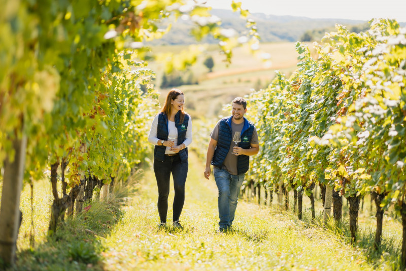 Eine Frau und ein Mann gehen durch die Rebzeilen am Weinhof Ulrich. Im Vordergrund stehen die hellgrünen Blätter der Weinreben.