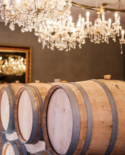 Foto Wein & Genussgut Bernhart – Burgweingut