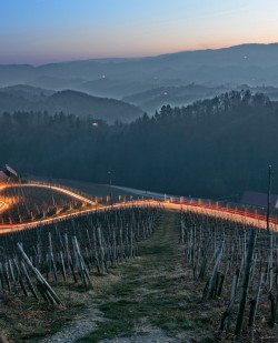 Foto Herzerlstraße – Gornje Slovenske gorice