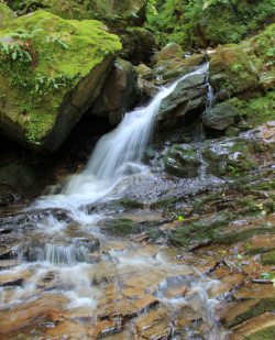 Foto Heiligengeistklamm