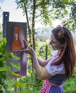 Foto Weingut Kollerhof am Eichberg