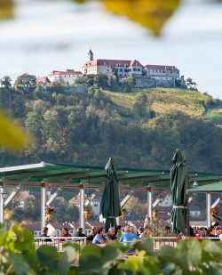 Foto Burgwein:gut – Buschenschank Bernhart