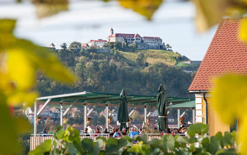 Blick auf Terrasse Buschenschank Bernhart, im Hintergrund die Riegersburg