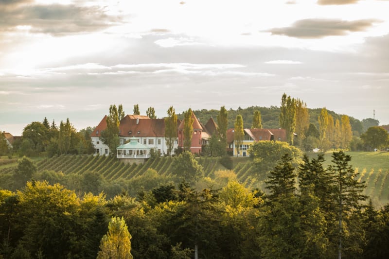 Außenansicht Weinschloss Koarl Thaller