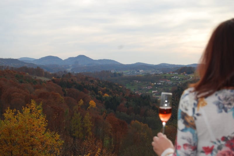 Ausblick von der Terrasse der Vulkanland Sektmanufaktur Meister in Riegersburg