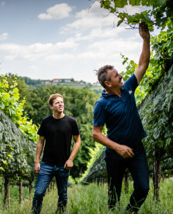 Foto Weingut Pfeifer