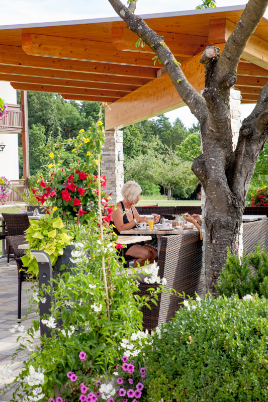 Hotel Restaurant Teuschler-Mogg Laube im Gastgarten