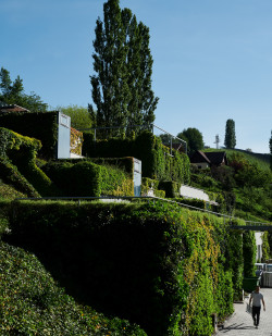 Foto Weingut Neumeister