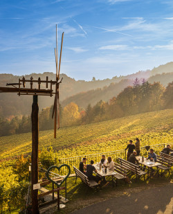 Foto Familienweingut und Buschenschank Trabos