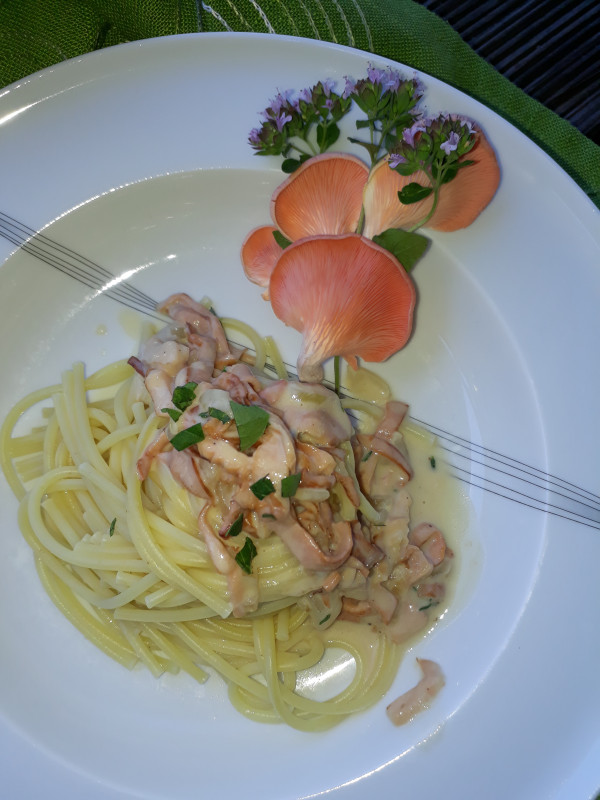 Pasta Carbonara mit Pilzen angerichtet auf einem großen, runden, weißen Teller.